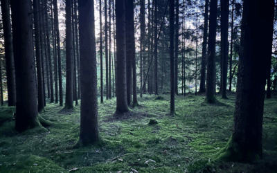 Lob der Mensch­lich­keit