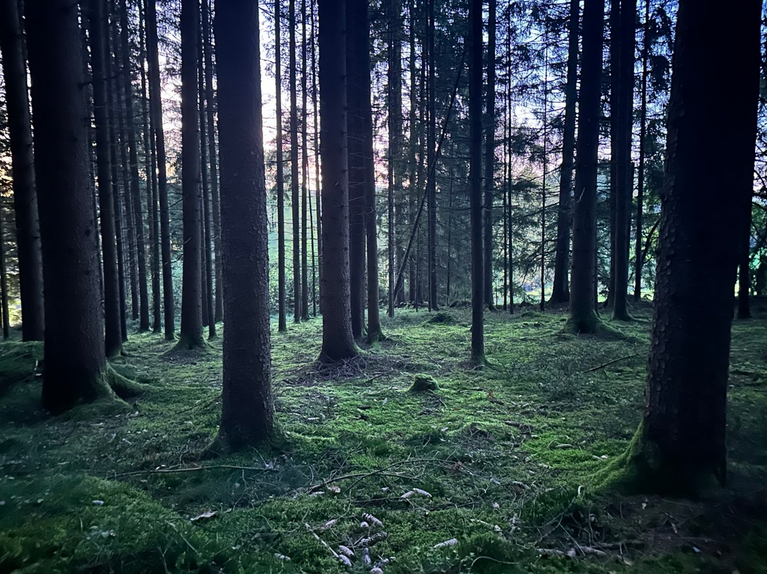 Lob der Mensch­lich­keit